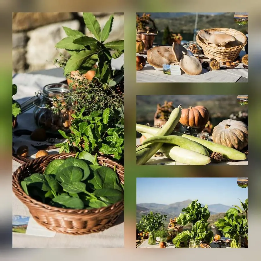 San Nicola Resort&Spa Ristorante Polizzi Generosa Italia